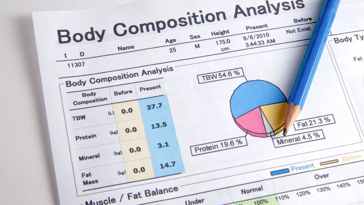 Composizione corporea