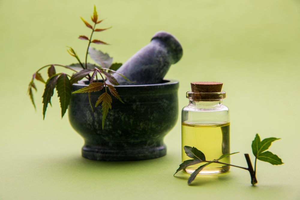 Olio di Neem: benefici e usi nella vita quotidiana