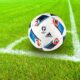 Pallone del calcio