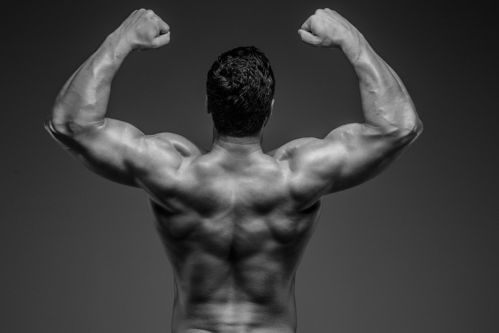 Massa muscolare